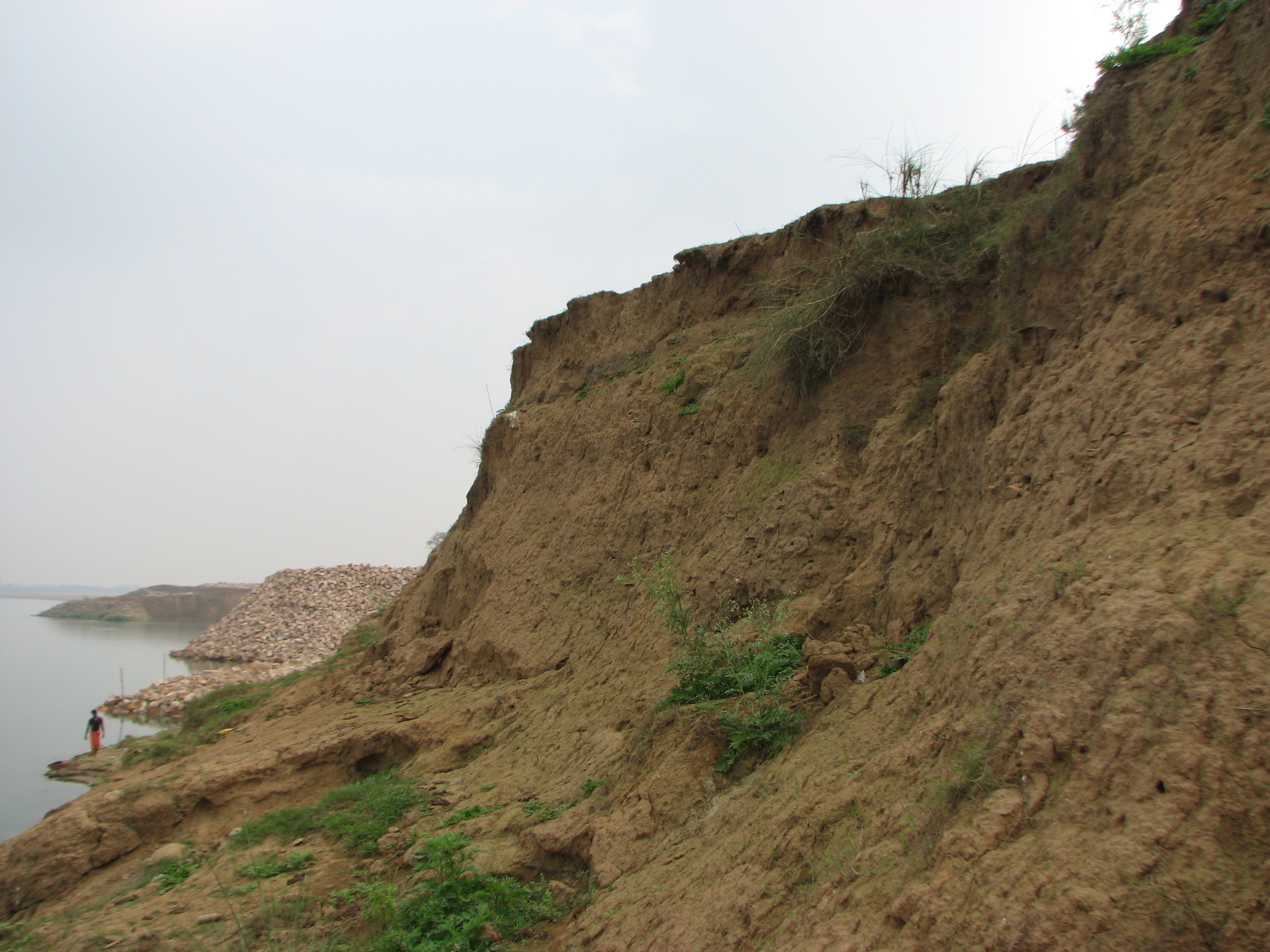 ଅନୁସନ୍ଧାନ ଛବି